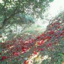 동백빌딩 이미지