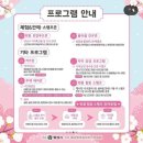 월리재서리단길