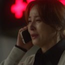 서진법률사무소