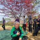 동산의료기 | 더청춘 주야간-요양원 | 2026.04.16 | 남양주 주야간보호센터 봄나들이 후기｜서운동산 자연 힐링 프로그램