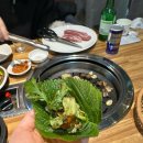 돈큐우