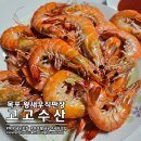 두리수산 왕새우 직판장 | 목포 석현동 왕새우직판장 고고수산 활새우 포장 후기