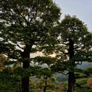 용인자연휴양림 이미지