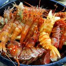 독도회센타 이미지