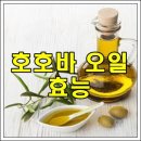 호호바오일의 효능 이미지