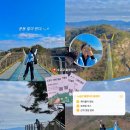 마그내다리승강장 | [공지] 원주 소금강 출렁다리 맛집, 케이블카와 트래킹 코스 총정리