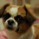 몽글 몽글 이미지