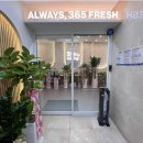 데이러블 이미지