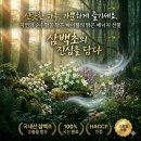 바이웰건강 네이버블로그