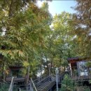 광교 푸른숲도서관 이미지