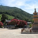 표충사 - 1903 | 표충사