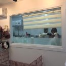 댕댕이 커트방 이미지