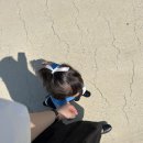 서아목장 이미지