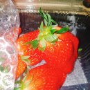 그린마트(서원동) 이미지