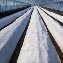 관리농장 이미지