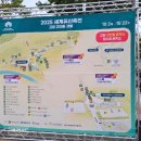 [일원2] 아크릴화 산책 | 2025 고창 세계유산축전 후기｜고인돌유적지 산책 &amp; 아이체험 프로그램 추천