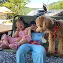 엘림펜션 이미지