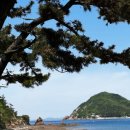 서산벌천포캠핑장