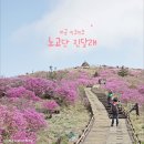 지리산 노고단! ⛰🌸 진달래꽃이 활짝 이미지