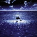 그랑 블루 Le Grand Bleu 1988: Opening Credits 이미지