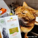 할배중탕집 | 고양이 습식 파우치 알모네이쳐 캣 HFC 내츄럴 플러스 닭안심살 내돈내산 후기