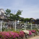 도담 펜션민박 이미지