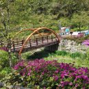 풍암호수공원 이미지