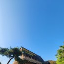 엘리트 승마스쿨 이미지