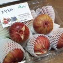 호정농장 이미지