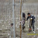 느티나무농원 이미지