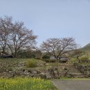 금산-05 | [공지] [충남 금산] 금산 신안사 템플스테이 | 고양이부터 절밥, 체험형 후기까지