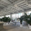 카페이안 이미지