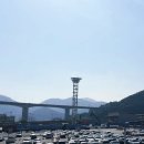 대한사료(주)창원공장 | [현장리포트] 창원방역업체 가더스 항만컨테이너 사각지대까지 완벽 쥐퇴치