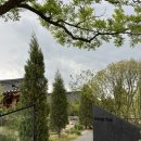 KTX주유소 | [경주] 경주 황리단길 근처 한옥 숙소 정보 &amp; 후기: 헤리티지 유와🏡