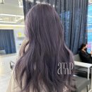 티엔피 이미지