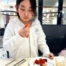 [도로]동수원 뉴코아 | 애슐리퀸즈 행사 동수원뉴코아점 후기 3월 15일 까지 초등 어린이 특별가 쿠폰 놓치지마세요