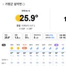 캠핑하는 집 | [가평 숲에 캠핑장] 여름에 캠핑하는 방법, 물이 있는 곳으로