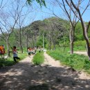 가덕초교 병설유치원 이미지