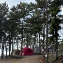 태안 오토 캠핑장 &#34;어은돌오토캠핑장&#34; 캠핑 후기