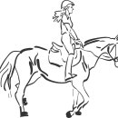 성운산업 이미지