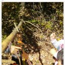 세중초교 병설유치원 이미지