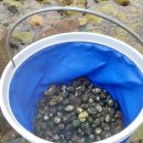 꽃달임펜션 이미지