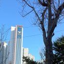 남산롯데캐슬센트럴스카이경로당 | 남산롯데캐슬센트럴스카이 임장 다녀왔어요^^