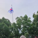 개미행정사 이미지