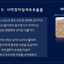 코코피아
