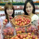 대석 세계일보