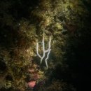 남해-269 이미지