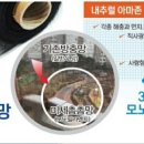 다우드림캐슬아파트 이미지