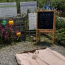 채이농장 이미지