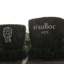 O JEJU 이미지